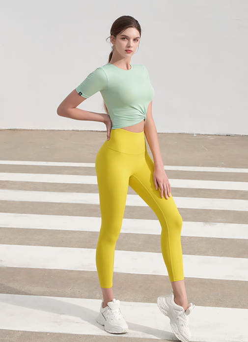 c8d9c6_Mint c8d9c6_Mint