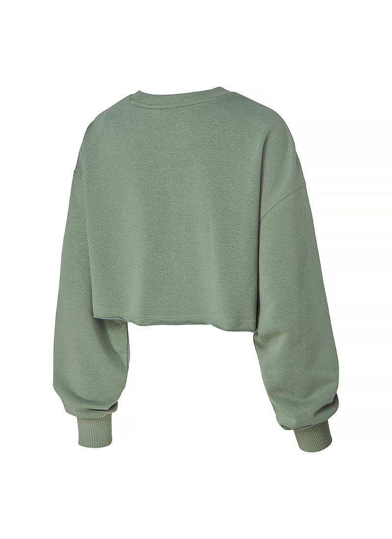 Soft Cotton Daily Crop