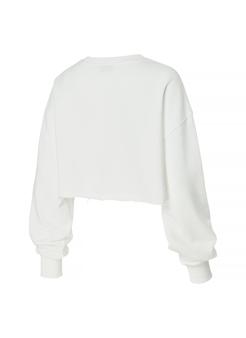 Soft Cotton Daily Crop