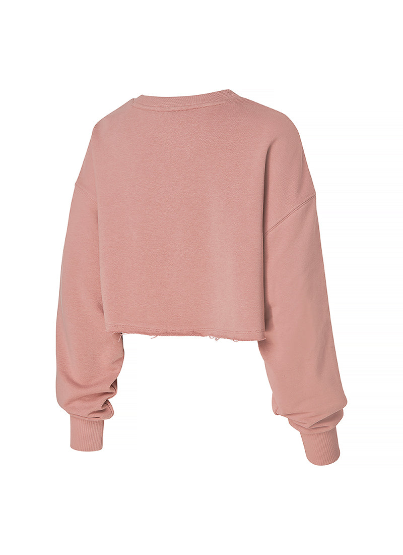 Soft Cotton Daily Crop