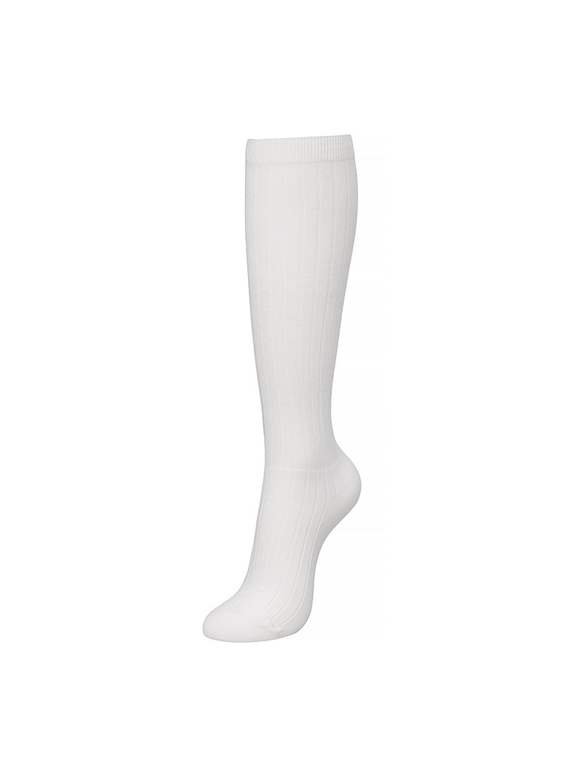 See Through Look Ribbed Knee Socks