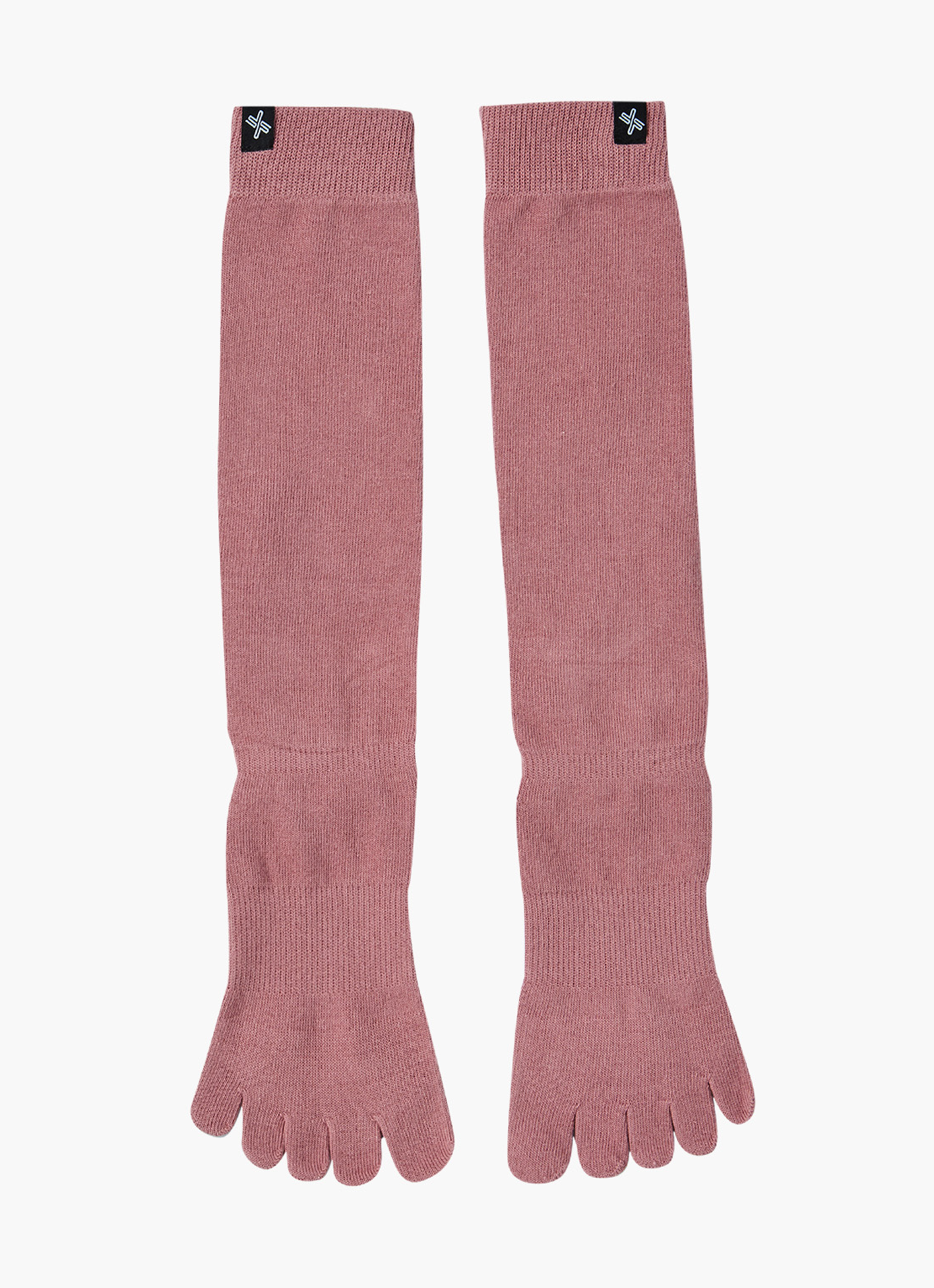 b3767b_Gloomy Rose