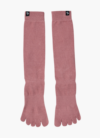 b3767b_Gloomy Rose