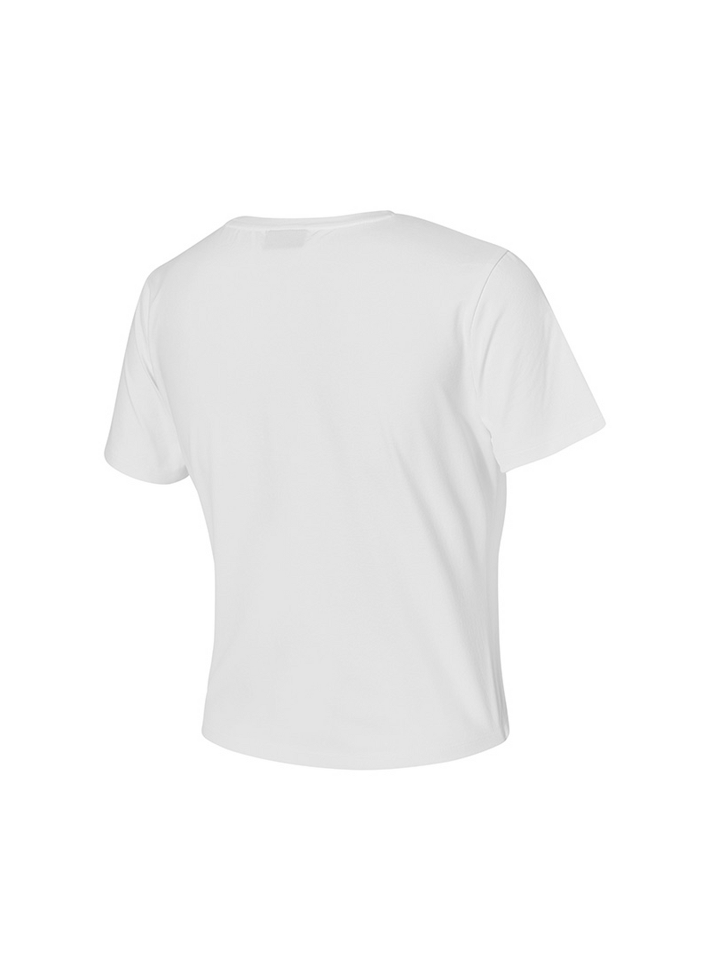 ededed_Ivory