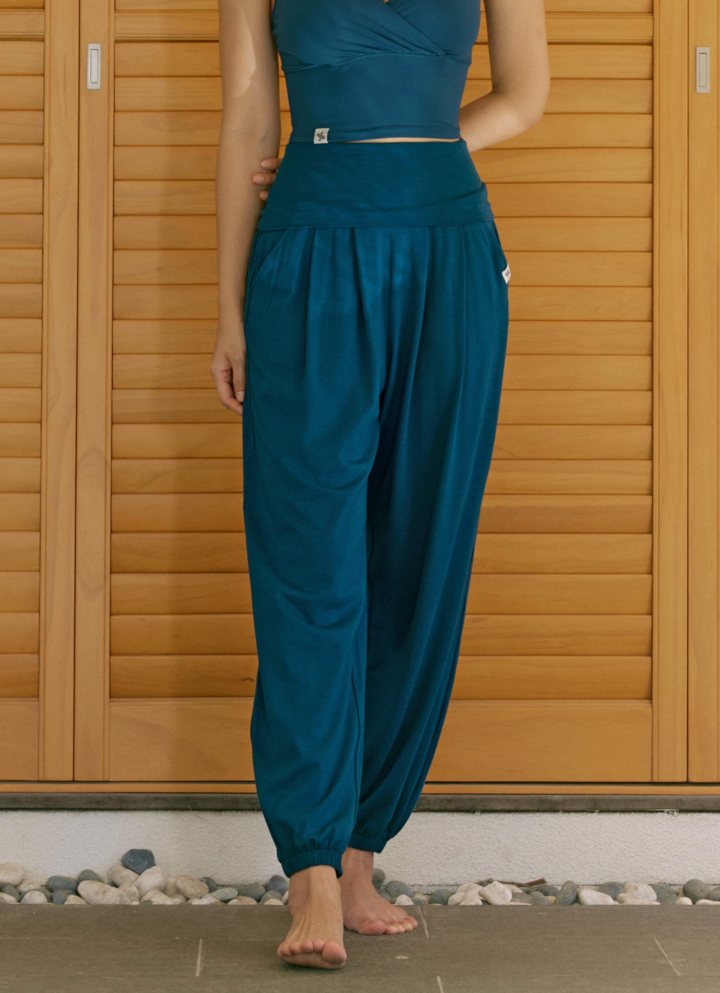 013947_Blue Coral